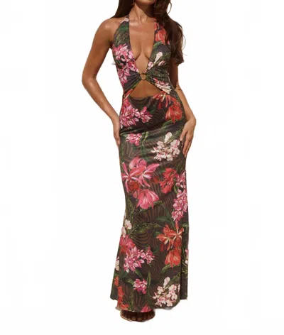 Runaway The Label Halston Halter Maxi Dress In Catarina Black In Multi