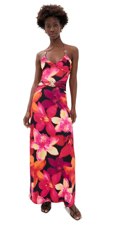 Runaway The Label Nina Ruched Halter Maxi Dress Skye Black In Multi