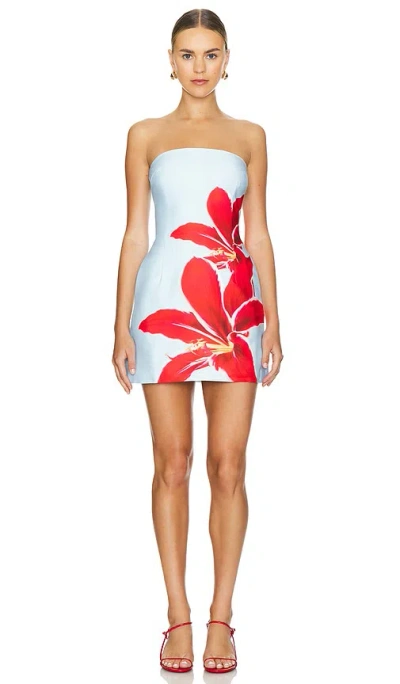Runaway The Label Primrose Mini Dress In Red Lily