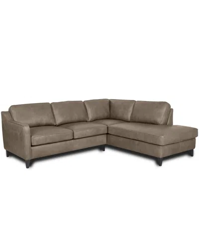 Rutherford Home Bari 98" Leather 2-piece Sectional In Grey