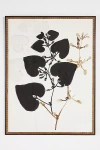 Ruti Shaashua For Artfully Walls Black Plant Wall Art In Black