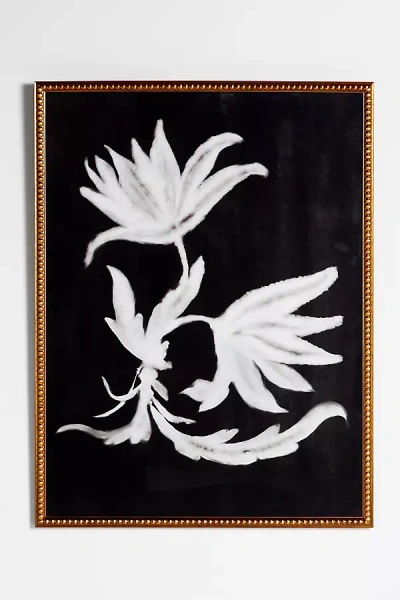 Ruti Shaashua For Artfully Walls Washed Botanica Ornament Wall Art In Black