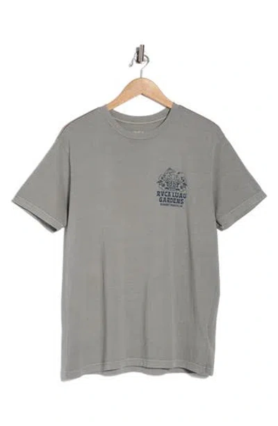 Rvca Micro Garden Graphic T-shirt In Multi