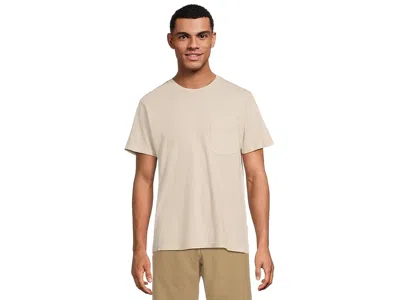 Rvca Ptc 2 Pigment Short Sleeve In Neutral