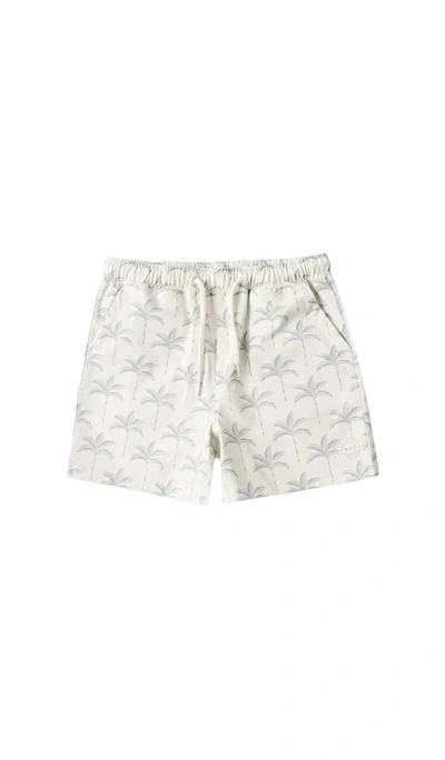 Rylee + Cru Boardshort In Gray