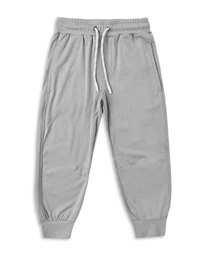 Rylee + Cru Boys' Century Tech Jogger Pants - Little Kid In Gray