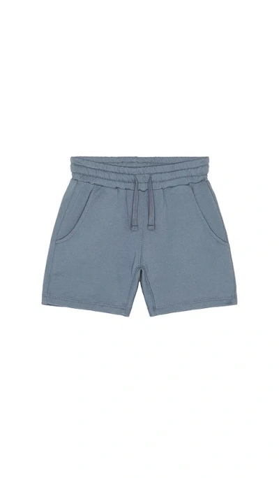 Rylee + Cru Relaxed Short In Gray