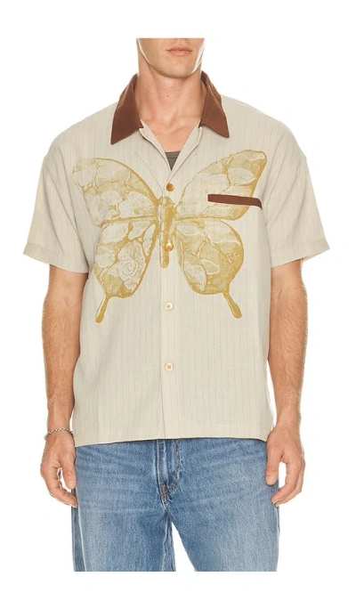 Ryoko Rain Butterfly Pinstripe Button Up Shirt In Brown