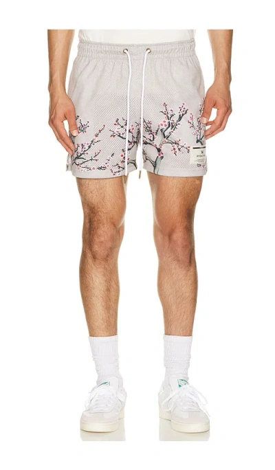 Ryoko Rain Cherry Blossom Shorts In Gray