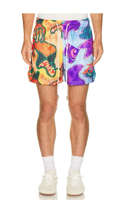 Ryoko Rain Forever Inspired Shorts In Multi