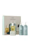 Rōz Hair Healthy Hair And Scalp Kit In Transparent
