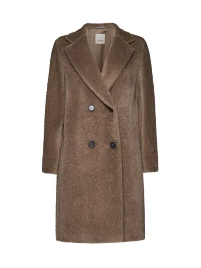 S Max Mara Roseto Wool Teddy Short Coat In Brown