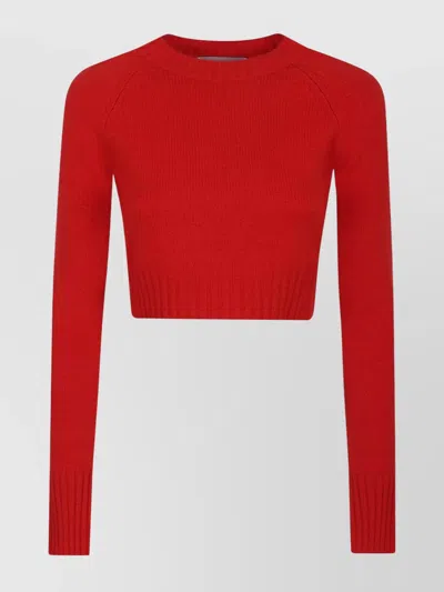 S Max Mara Crew Neck Cropped Long Sleeves Top In Red
