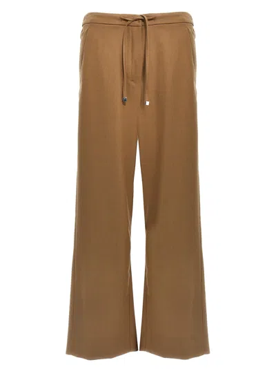 S Max Mara Floria Pants In Cammello