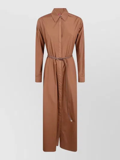 S Max Mara Lecito Belted Midi Dress Long Sleeves In Neutral