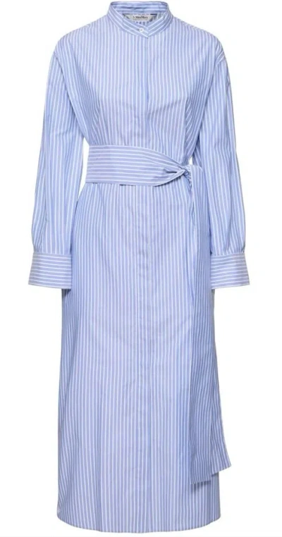 S Max Mara Celeste Oxford Cotton Shirt Dress In Multi