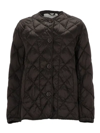 S Max Mara ' Lightweight Polyamide Jacket In Brown