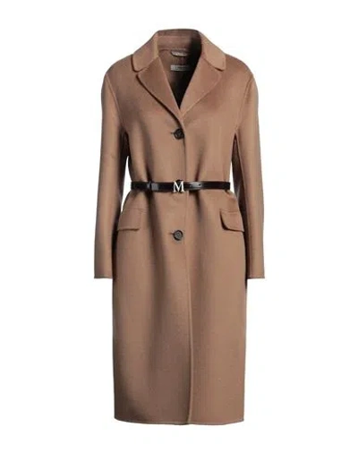 S Max Mara ' Woman Coat Brown Size 10 Virgin Wool, Cashmere