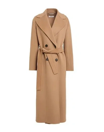 's Max Mara Woman Coat Camel Size 10 Virgin Wool In Beige