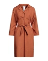 's Max Mara Woman Midi Dress Tan Size 8 Cotton In Brown