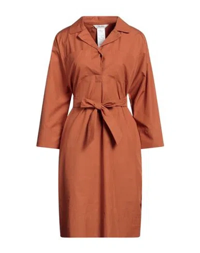 's Max Mara Woman Midi Dress Tan Size 8 Cotton In Brown