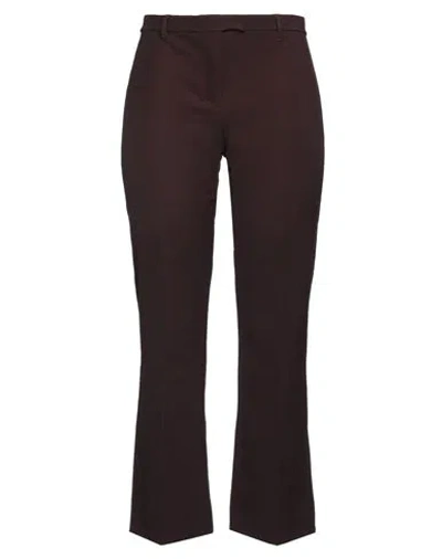 's Max Mara Woman Pants Burgundy Size 12 Cotton, Polyamide, Elastane