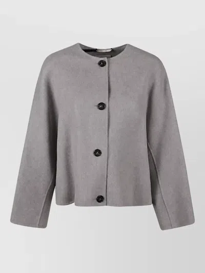 S Max Mara Single Breasted Coat In Transparent