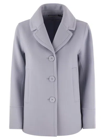 's Max Mara Single-breasted Long-sleeved Jacket In Light Blue