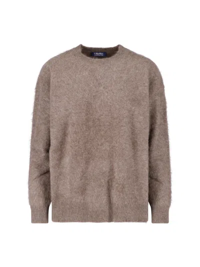 S Max Mara Sweater With Yak Scarf In Brown
