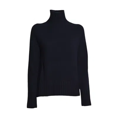 S Max Mara Sweaters In Blue