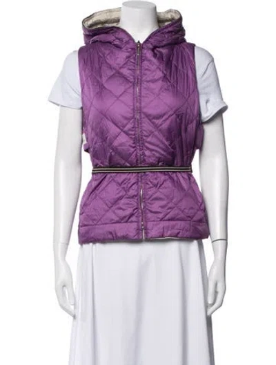 Pre-owned S Max Mara Vest In Purple