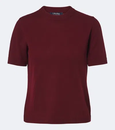 S Max Mara Wool And Cashmere Sweater In Burgundy