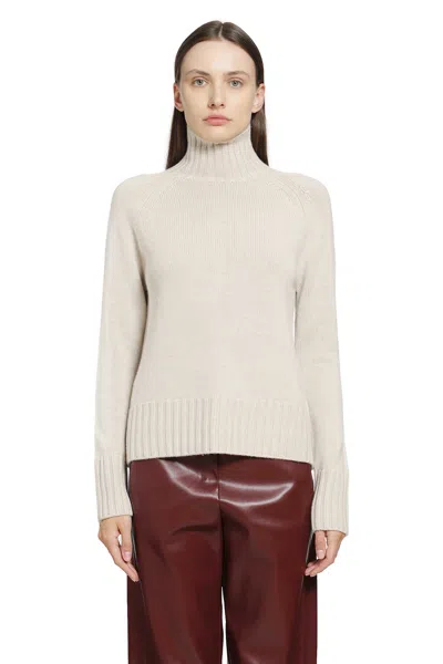 S Max Mara Wool Cashmere Turtleneck Sweater In Neutral
