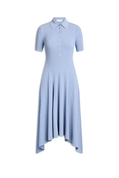 Scanlan Theodore Pleated Rib Shirt Dress In Blue