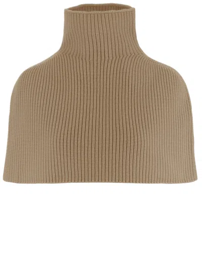Sa Su Phi Dark Brown Ribbed Turtleneck Cashmere Neck Warmer