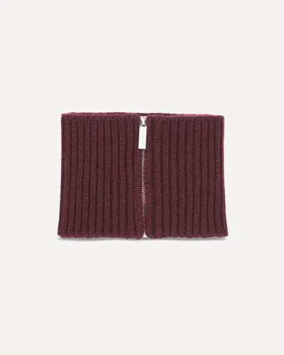 Sa Su Phi Cashmere Collar Scarf In Burgundy