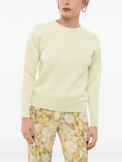 Sa Su Phi Cashmere Crew-neck Sweater In Yellow