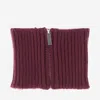 Sa Su Phi Cashmere Knit Cashmere Collar Scarf In Burgundy