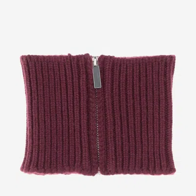 Sa Su Phi Cashmere Knit Cashmere Collar Scarf In Burgundy