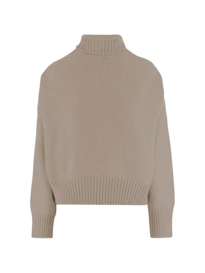 Sa Su Phi Crew-neck Sweater In Brown