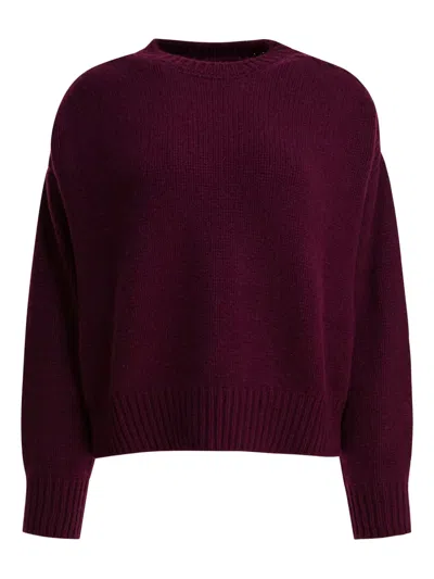SA SU PHI LONG-SLEEVE CREW-NECK SWEATER