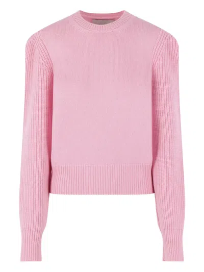 SA SU PHI 罗纹毛衣