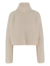 Sa Su Phi Ribbed Turtleneck Sweater In Neutral