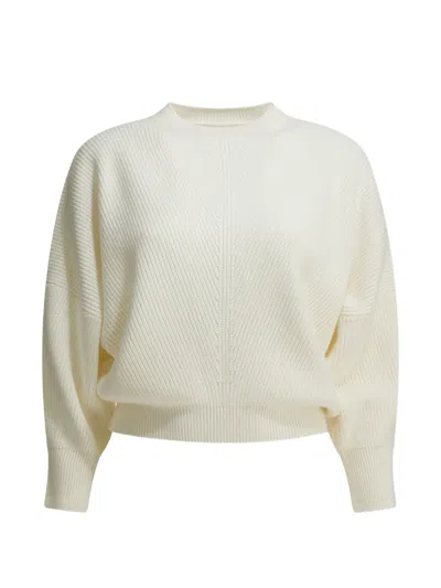 Sa Su Phi Knitwear Crew Neck Long Sleeves Silhouette In Neutral