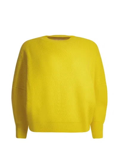 Sa Su Phi Ribbed-knit Jumper In Yellow