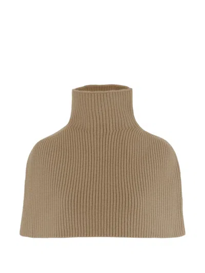 Sa Su Phi Ribbed-knit Roll-neck Cape In 뉴트럴