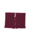 Sa Su Phi Textured Ribbed Scarf For All Seasons In Burgundy