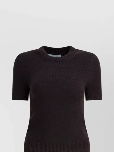 Sa Su Phi Short Sleeve Crew Neck Knitwear Top In Brown
