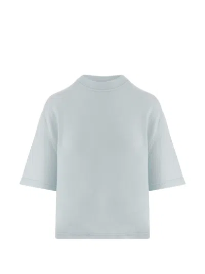 Sa Su Phi Beige Boxy Cropped Short Sleeve Cashmere Sweater In Gray
