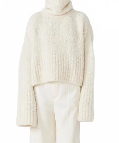 Sa Su Phi Teddy High Neck Sweater In Ivory In Neutral